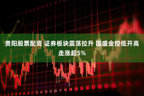 贵阳股票配资 证券板块震荡拉升 国盛金控低开高走涨超5%
