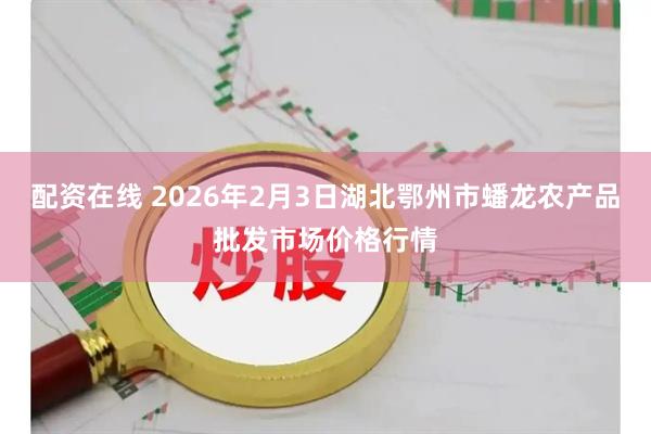 配资在线 2026年2月3日湖北鄂州市蟠龙农产品批发市场价格行情